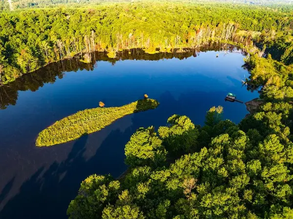 Lot 41 FM 2015, Tyler, TX 75708