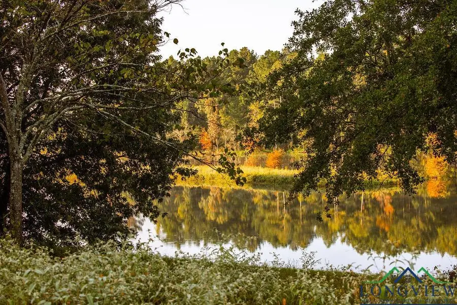 Lot 41 FM 2015, Tyler, TX 75708 - Image #2