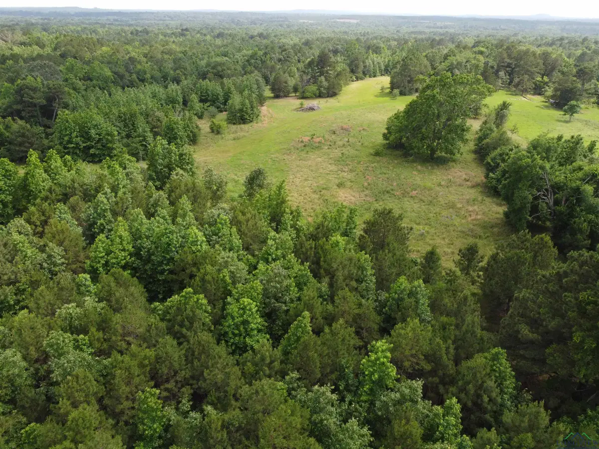 7022 W CR 3238, Cushing, TX 75760 - Image #1