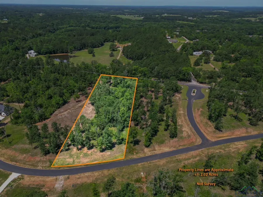 LT 80 Granite Ln., Hallsville, TX 75650 - #2