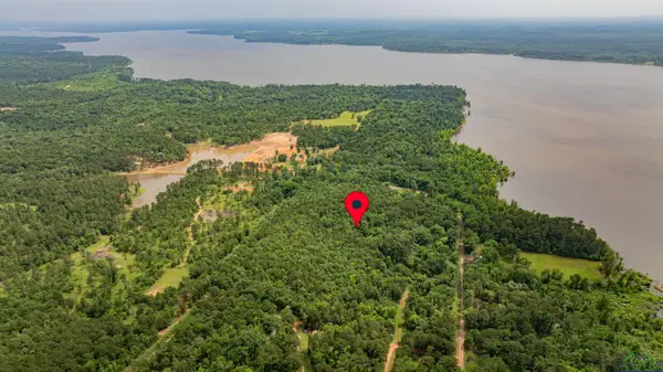 1999 Grainger Drive, Lone Star, TX 75668