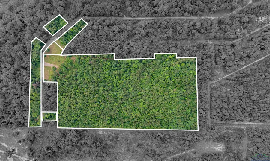 1999 Grainger Drive, Lone Star, TX 75668 - Image #2