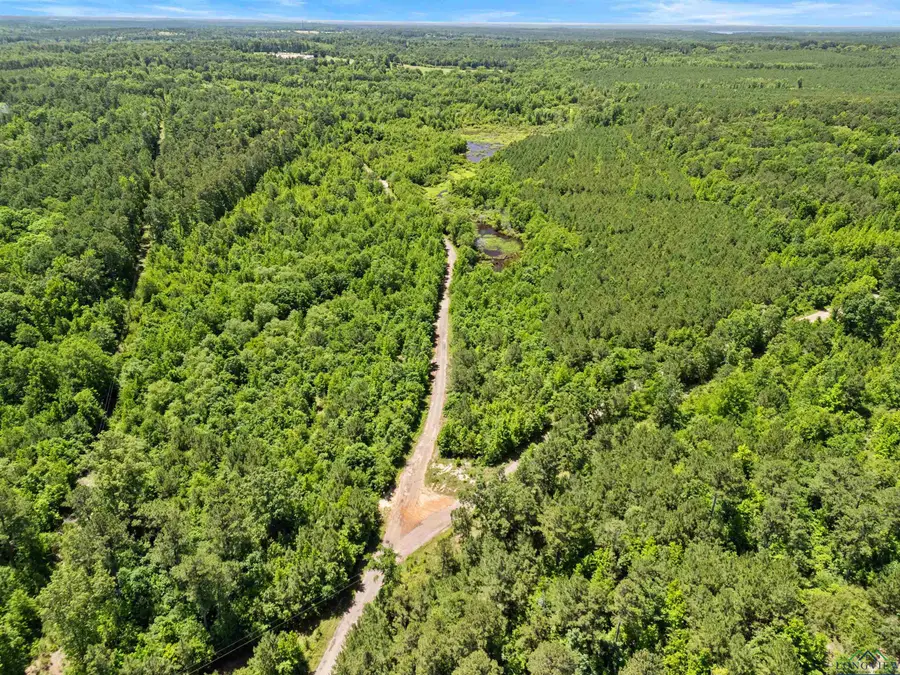 0000 Shady Grove Road, Jefferson, TX 75657 - Image #2