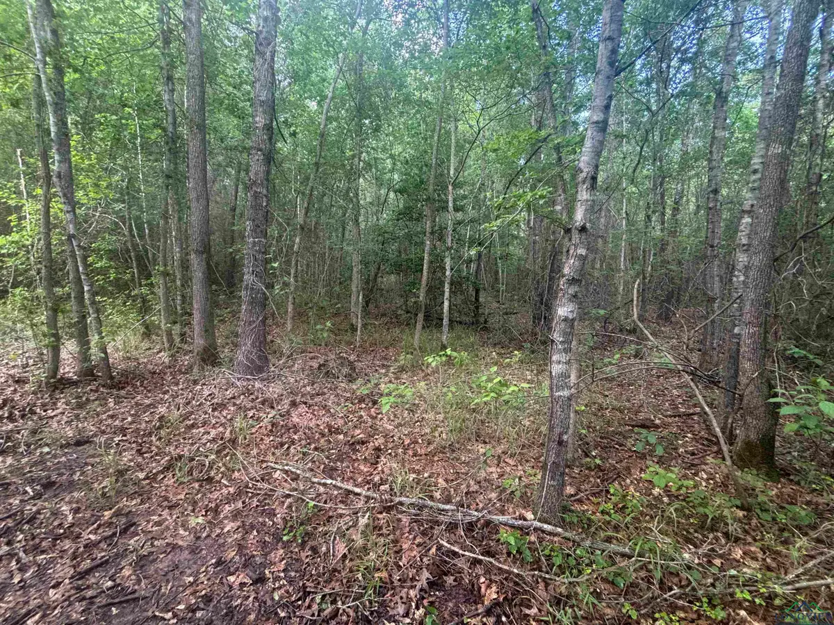 TBD Willie Reed Road, Jefferson, TX 75657 - Image #1