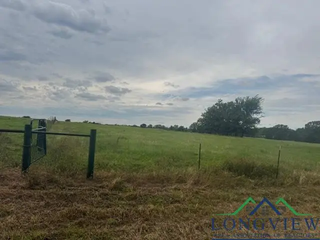 3950 CR 3365, Mount Pleasant, TX 75558-0000 - Image #3