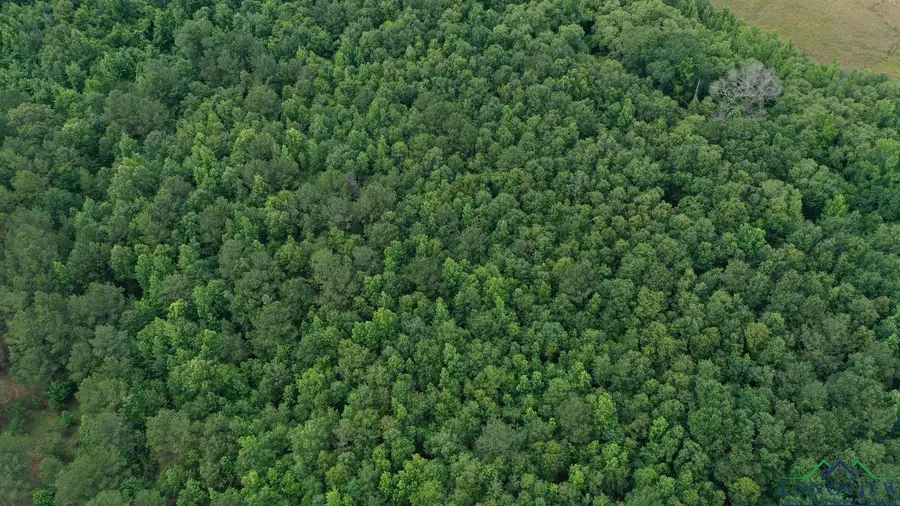 0001 FM 805, Jefferson, TX 75657 - Image #2