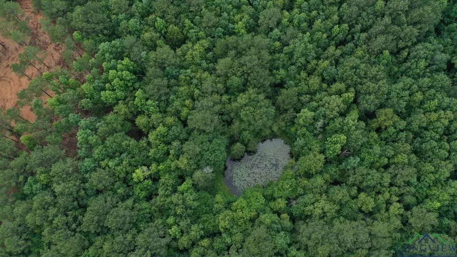 0003 FM 805, Jefferson, TX 75657 - Image #3