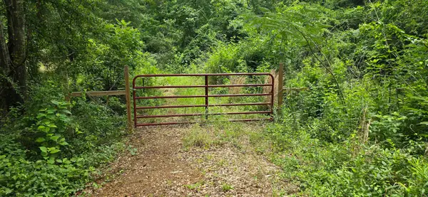 331 Red Maple Rd, Gilmer, TX 75644