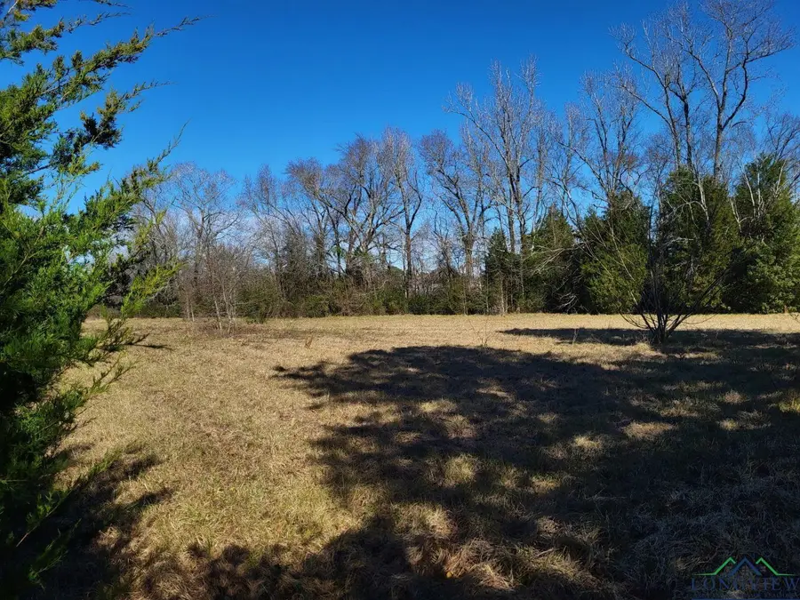 17816 CR 2187, Tatum, TX 75691 - Image #3