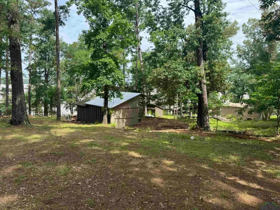 17458 S County Road 4256, Henderson, TX 75654 - #3