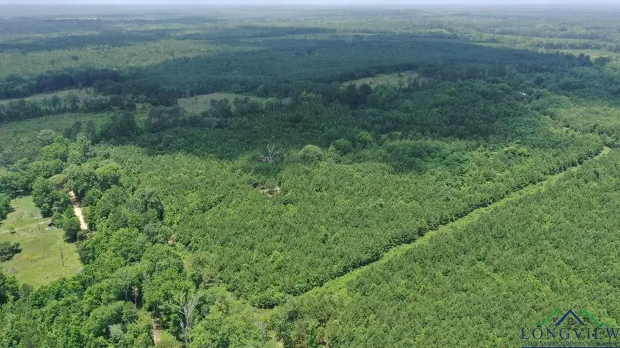 0000 CR 1782, Linden, TX 75563 - Image #2