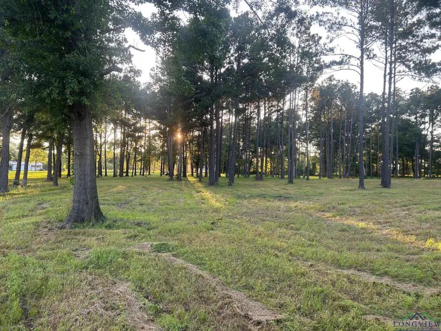 000 Karnack Highway, Marshall, TX 75672 - Image #2