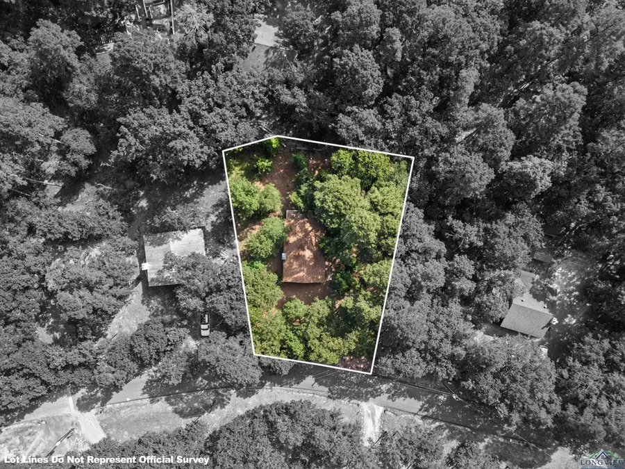 149 Primrose Path, Hawkins, TX 75765 - Image #2