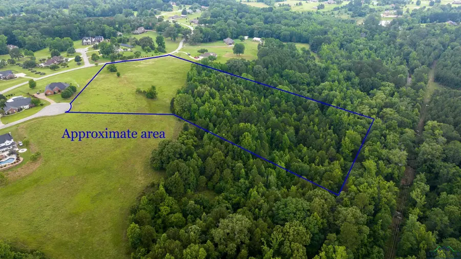 TBD Timberlake Ranch Rd, Hallsville, TX 75650 - Image #3