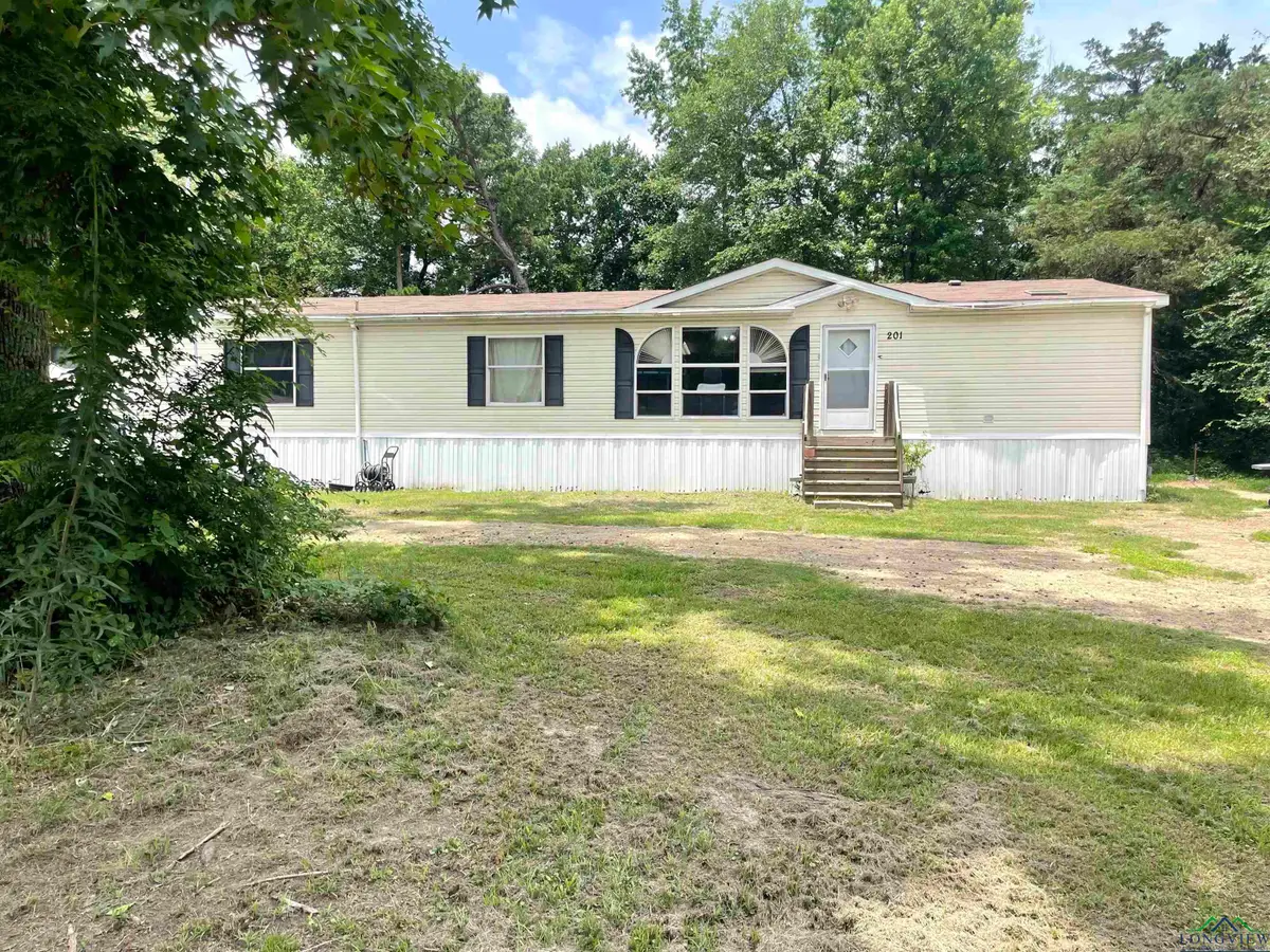 201 Brahman Road, Big Sandy, TX 75755 - Image #1