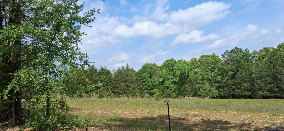 tbd cr 1581, Avinger, TX 75630 - Image #1
