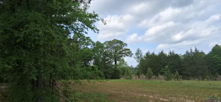 tbd cr 1581, Avinger, TX 75630 - Image #3