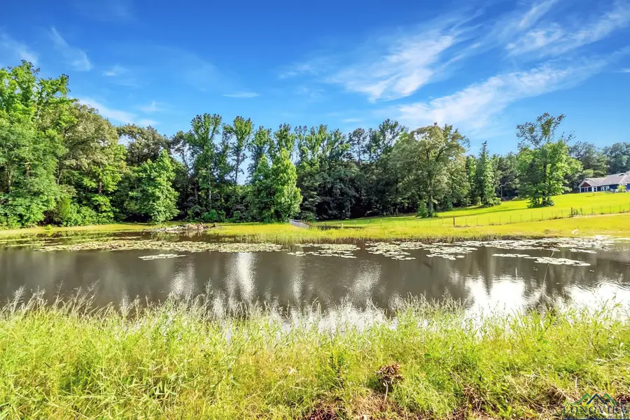 14384 N County Road 2125, Henderson, TX 75652 - Image #3