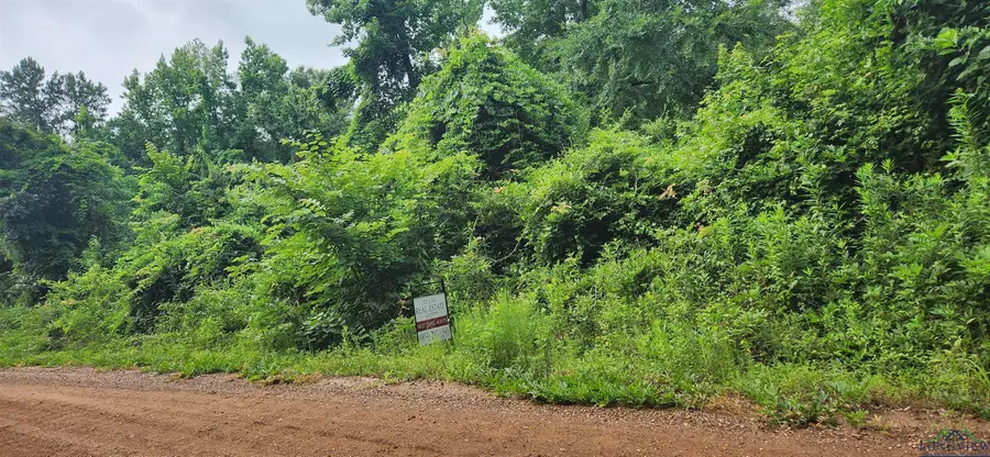 TBD Liberty Road, Jefferson, TX 75657 - Image #3