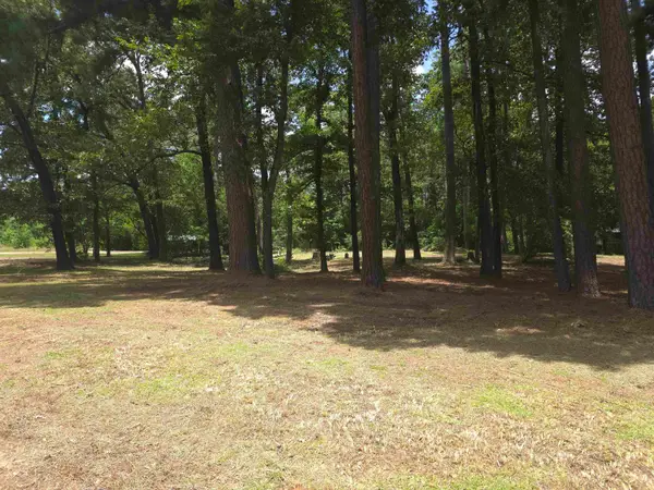 208 Mountain View Drive, Daingerfield, TX 75638-1424