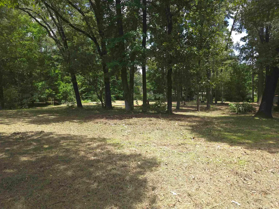 208 Mountain View Drive, Daingerfield, TX 75638-1424 - Image #3