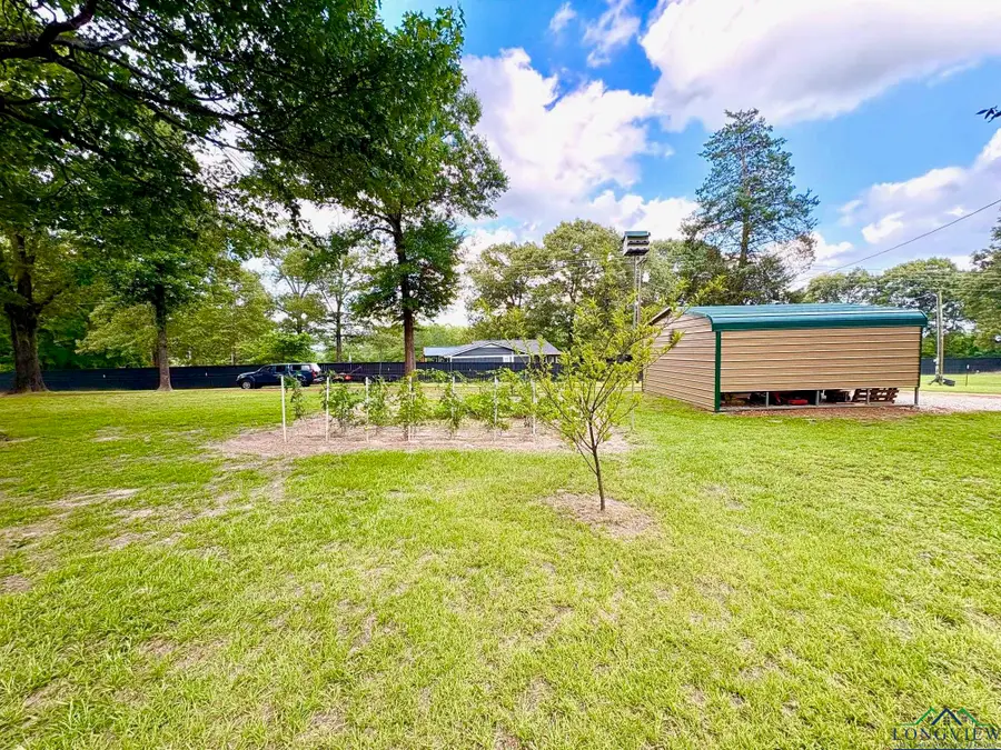 141 Birch Rd., Big Sandy, TX 75755 - Image #3