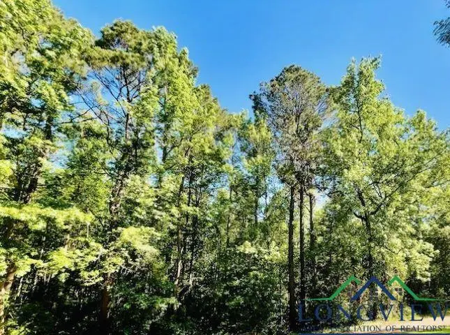 TBD DEERWOOD PARK, Queen City, TX 75572 - Image #1