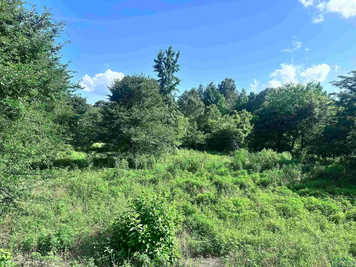 TBD Cherokee Trace, Gilmer, TX 75644 - Image #1