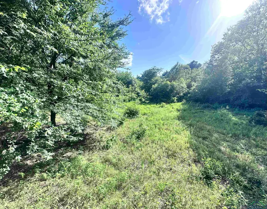 TBD Cherokee Trace, Gilmer, TX 75644 - Image #3