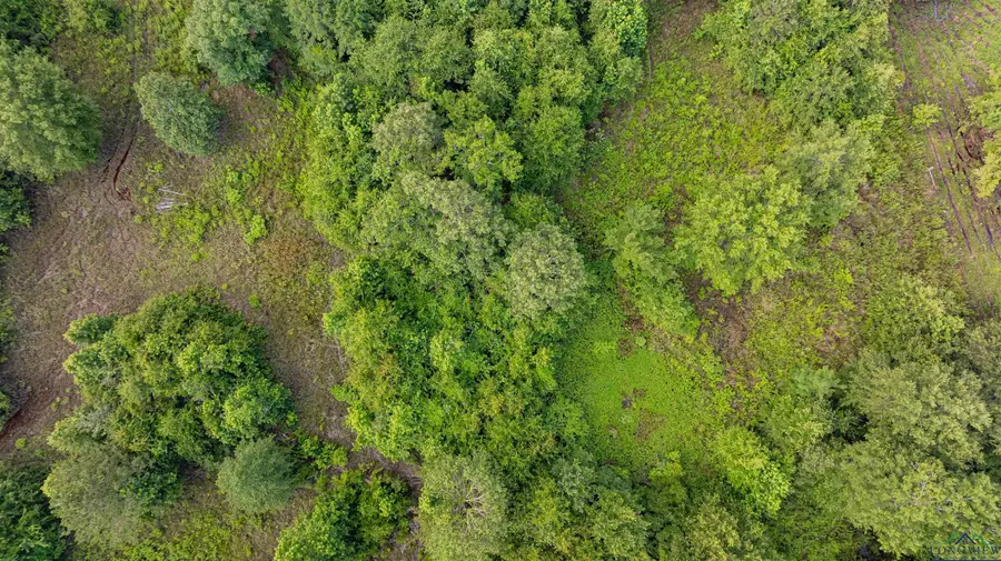 376 FM 4441, Hallsville, TX 75650 - Image #2