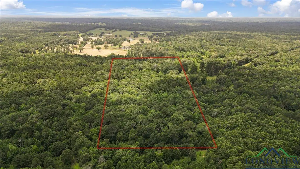 TBD CR 3289, Quitman, TX 75783 - #1
