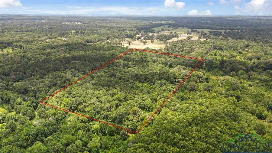 TBD CR 3289, Quitman, TX 75783 - #2