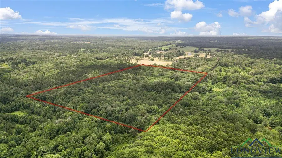 TBD CR 3289, Quitman, TX 75783 - #3
