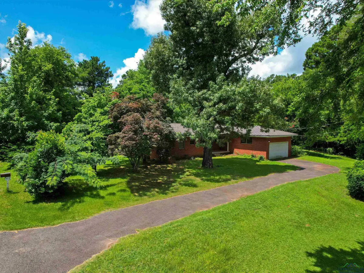 302 WILDWOOD DR, Daingerfield, TX 75638 - Image #1