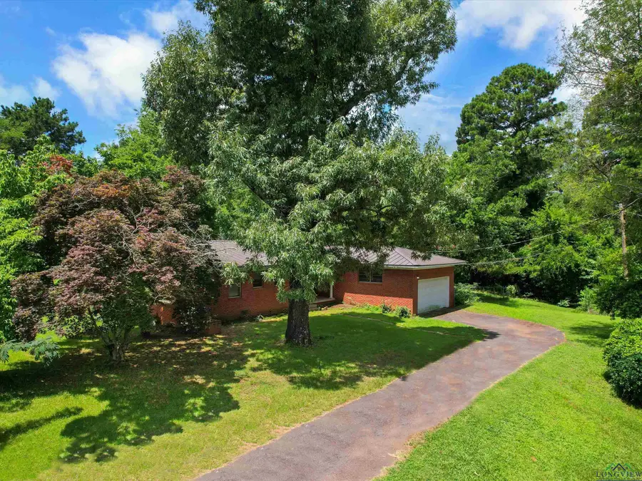 302 WILDWOOD DR, Daingerfield, TX 75638 - Image #3