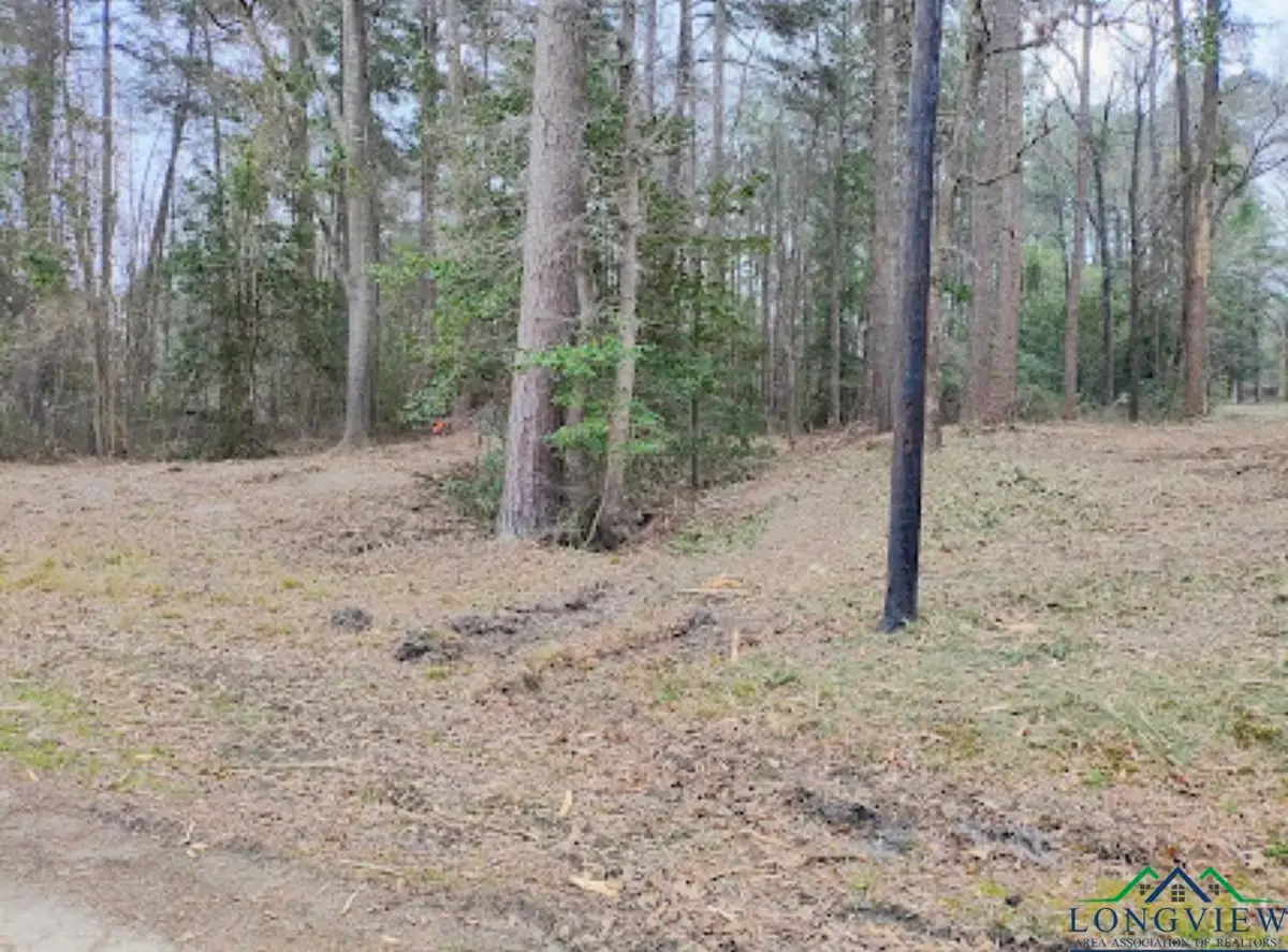 Pine Tree Drive, Harleton, TX 75651 - Image #1