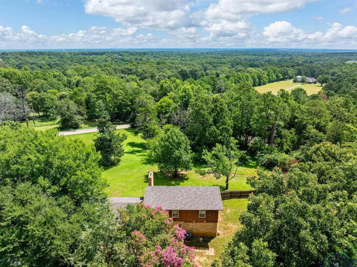 10816 Mountain View Place, Whitehouse, TX 75791 - #1