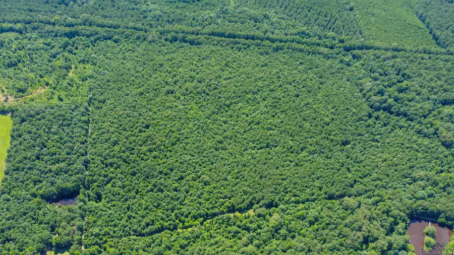 TBD FM 2327, Queen City, TX 75572 - Image #3