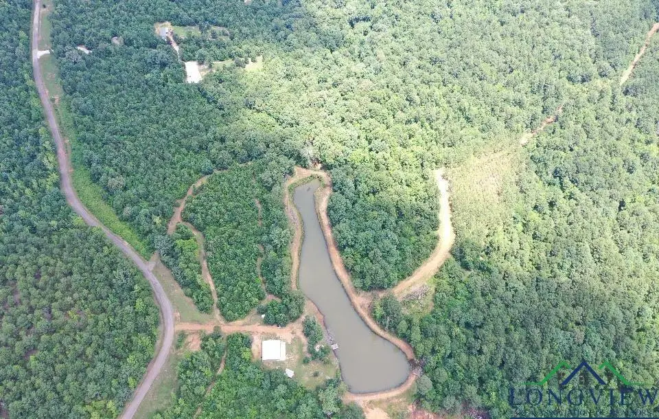 Address Withheld By Seller, Lone Star, TX 75668 - Image #1