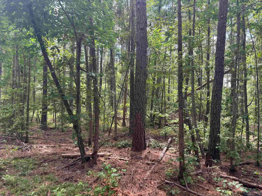 TBD CR 3889 FM 3129 8.38, Queen City, TX 75572 - Image #2