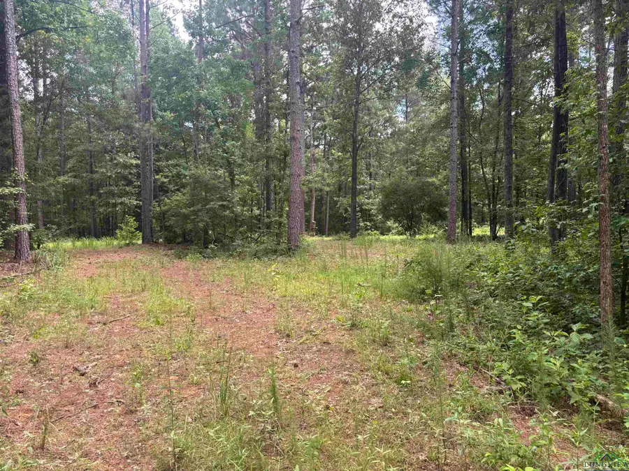 TBD CR 3889 FM 3129 8.38, Queen City, TX 75572 - Image #3