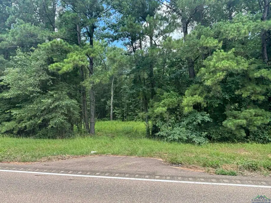 TBD CR 3889 FM 3129 7, Queen City, TX 75572 - Image #2