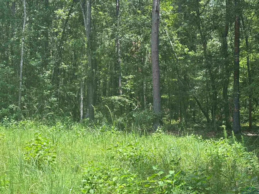 TBD CR 3889 FM 3129 7, Queen City, TX 75572 - Image #3