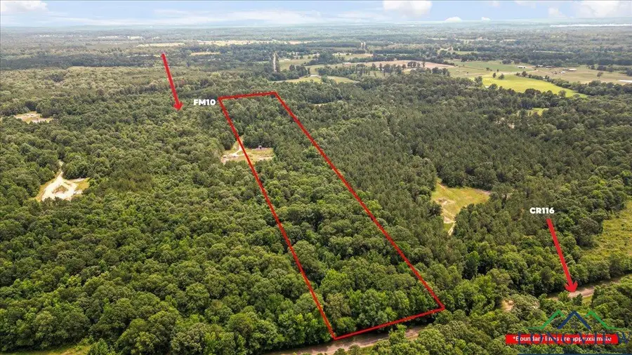 TBD FM 10, Gary, TX 75643 - Image #2