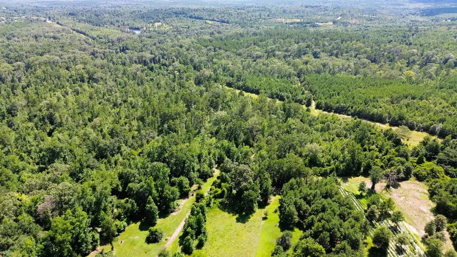 TBD Dreesen Rd, Jefferson, TX 75657 - Image #3