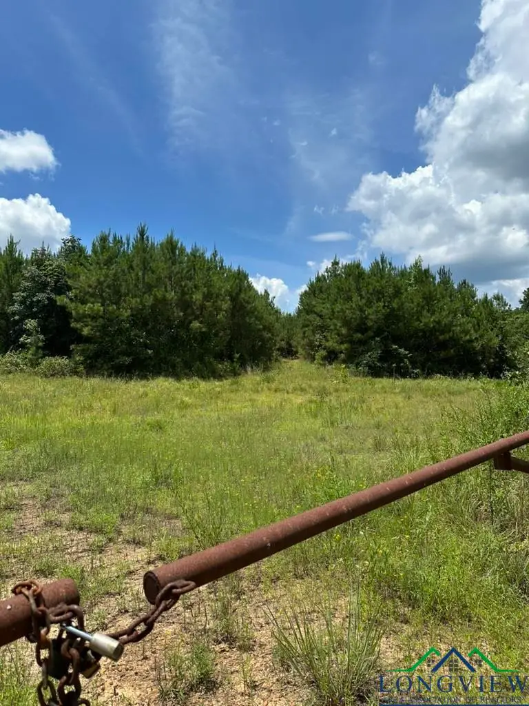 TBD Eagleton Road, Harleton, TX 75651 - Image #2