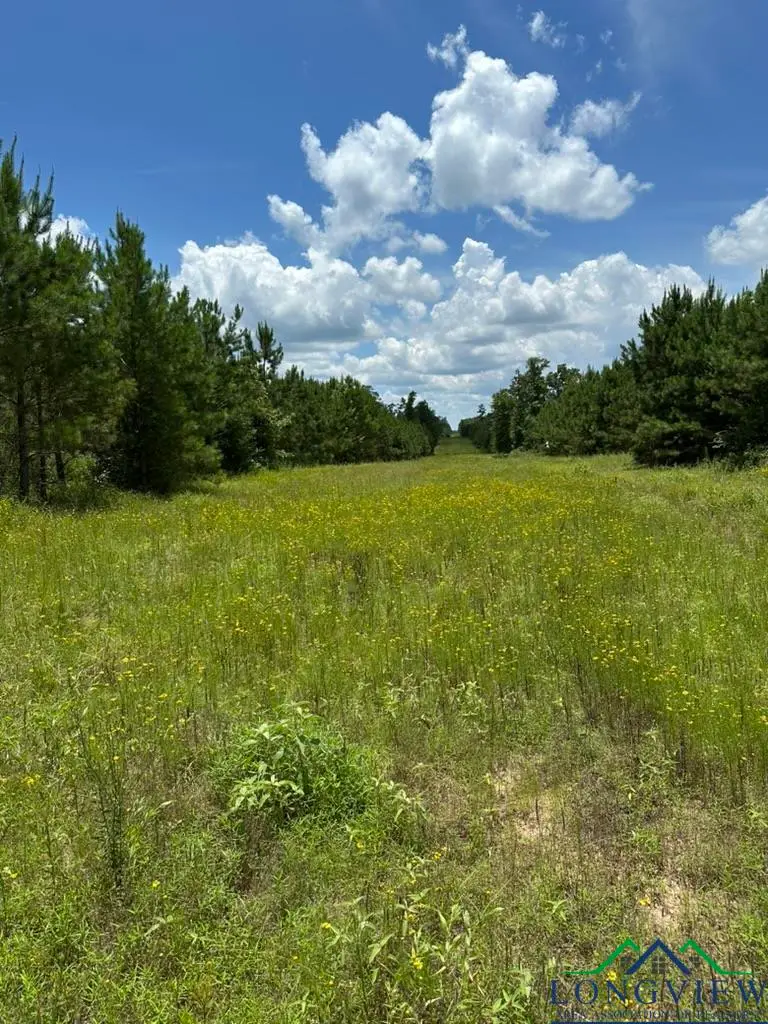 TBD Eagleton Road, Harleton, TX 75651 - Image #3