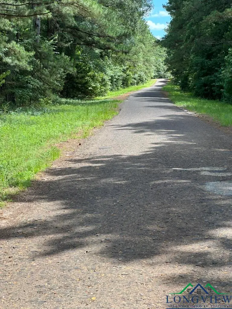 TBD W Liberty Road, Harleton, TX 75651 - Image #2