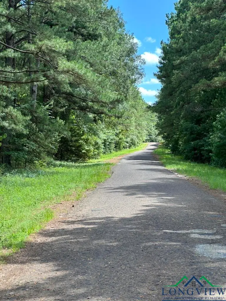 TBD W Liberty Road, Harleton, TX 75651 - Image #3