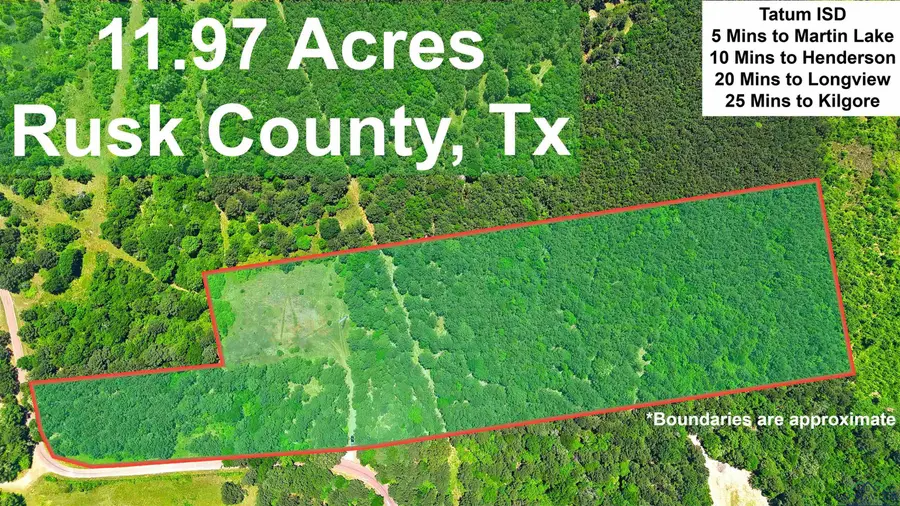 TBD CR 2142, Tatum, TX 75691 - Image #3